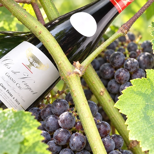 PINOT NERO